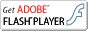 Link to Adobe website to download Flash Player