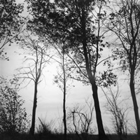 Image of between Foncquevillers and Hebuteme